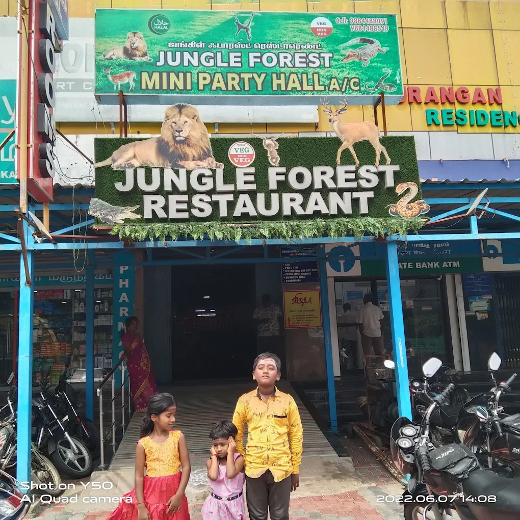 Jungle Forest